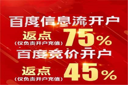 百度SEO推广公司案例精选：揭秘关键词优化策略